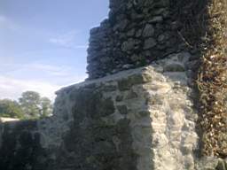 bellanamullia - 1372.jpg